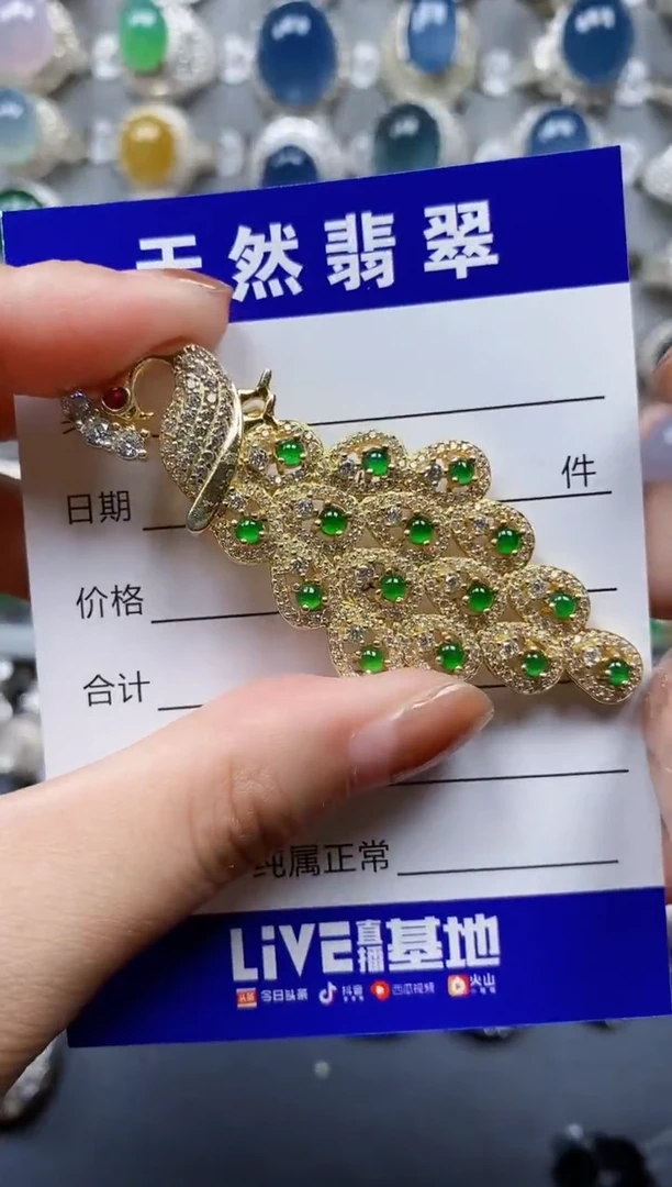 翡翠银S925镶嵌颈饰0389