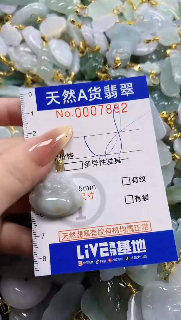 颈饰未镶嵌翡翠天然A货翡翠