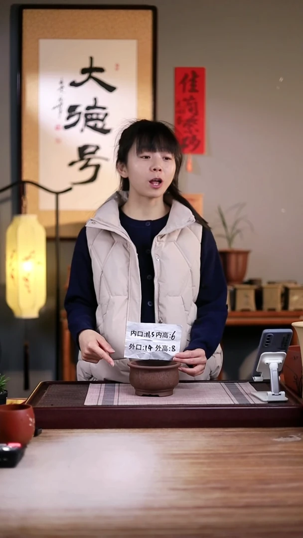 紫砂花盆紫泥刻绘花开富贵迷你矮圆盆一只无托