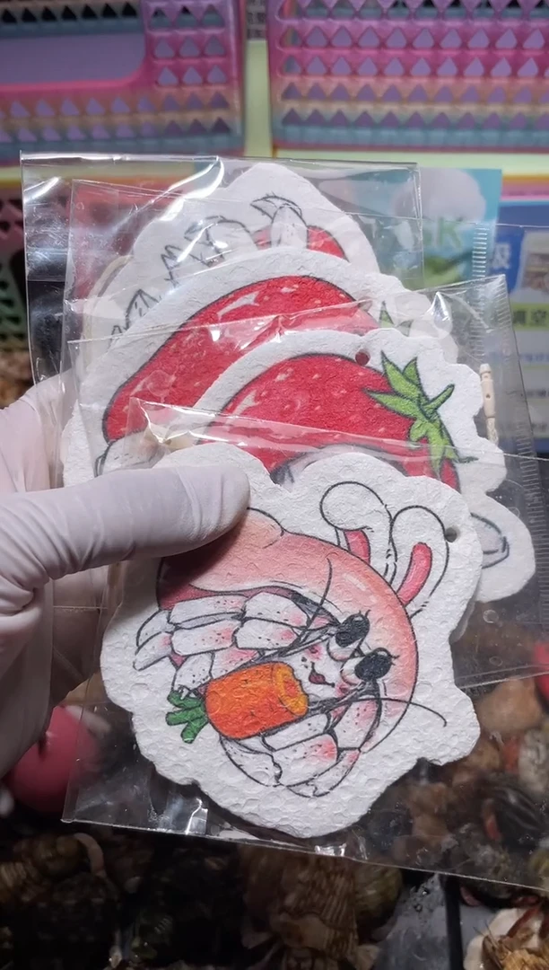 陌派有钳寄居蟹，4款不同图案海绵