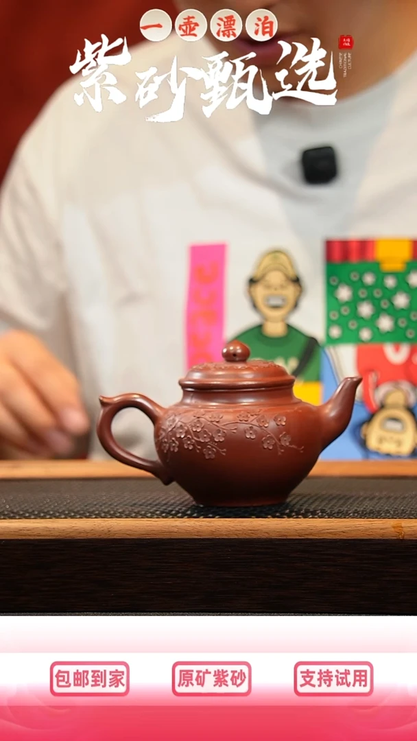 茶壶紫砂 一壶漂泊紫砂茶器1320