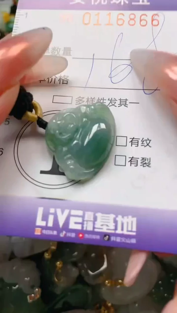 【闪购商品】翡翠颈饰未镶嵌闪购0116866