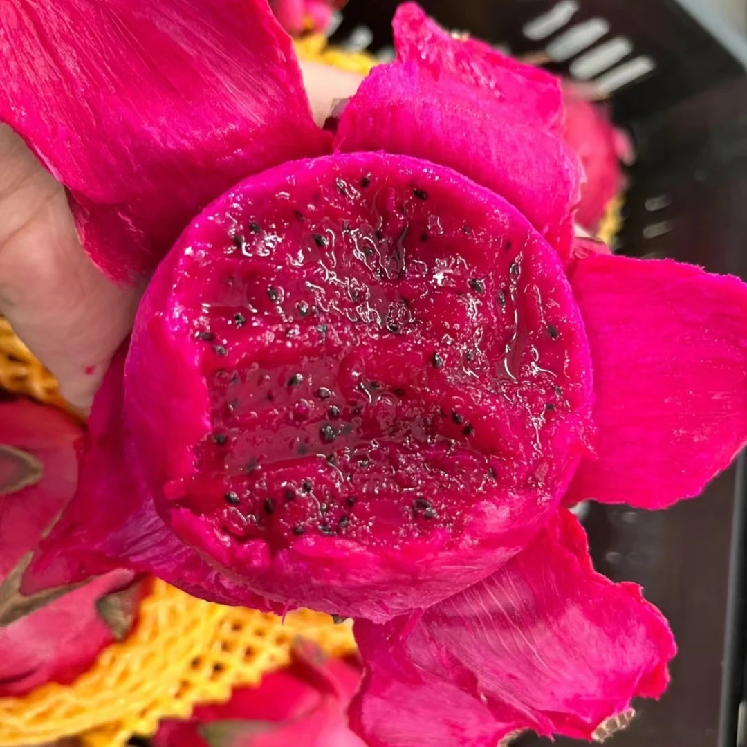 红绣球火龙果9.9/5个