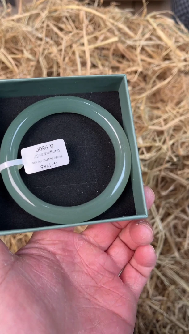 未镶嵌手镯石英质玉G-1186