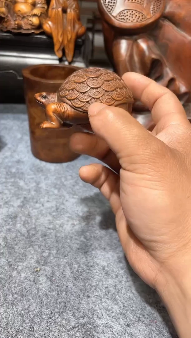 木木木木木木金钱龟