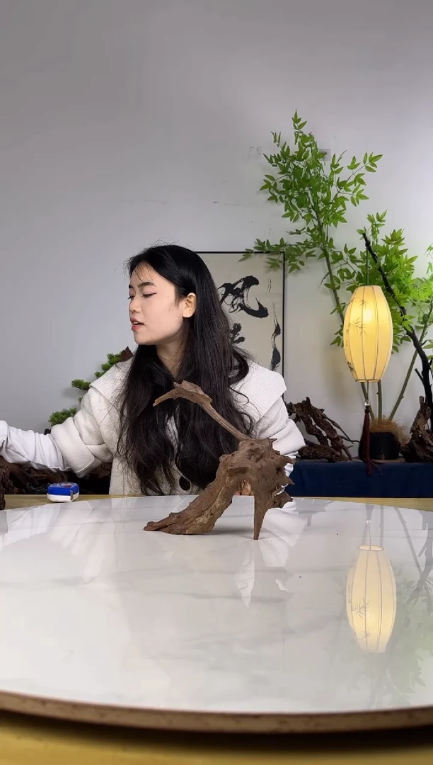 江*胖拍沉木定向链接编号27