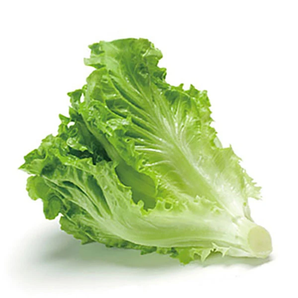 生菜500g