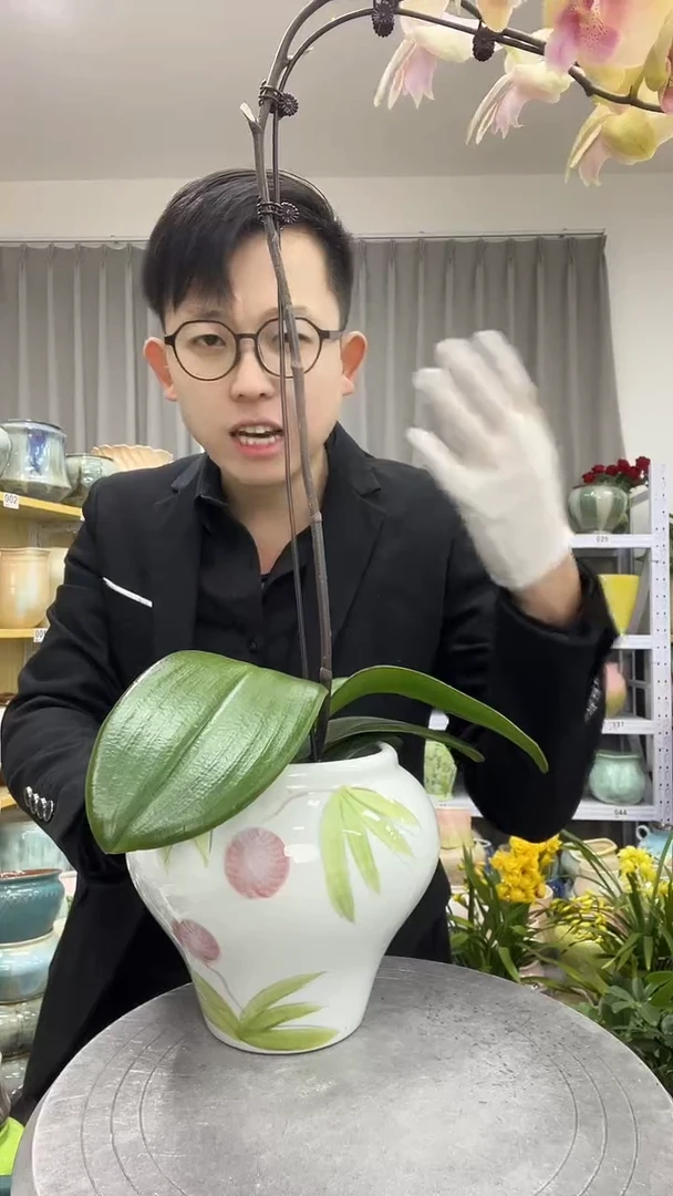 【12   .2    】 花盆     高度 ：    15 口径11