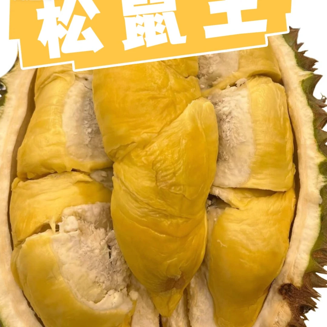 松鼠王·马来西亚小品种液氮榴莲树熟精选【顺丰包邮】