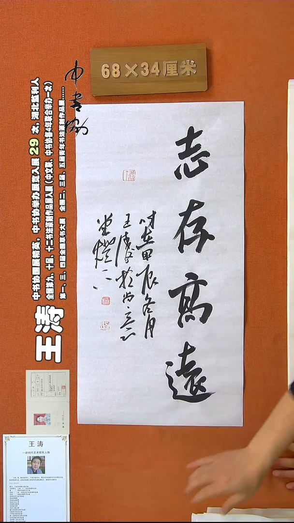 【闪购商品】书法264王涛书法作品