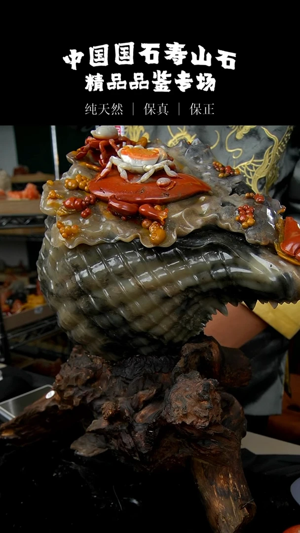 【闪购商品】寿山石五彩高山石