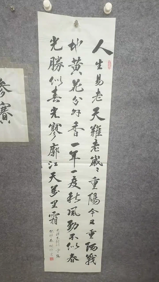 书法民间书画作品展20