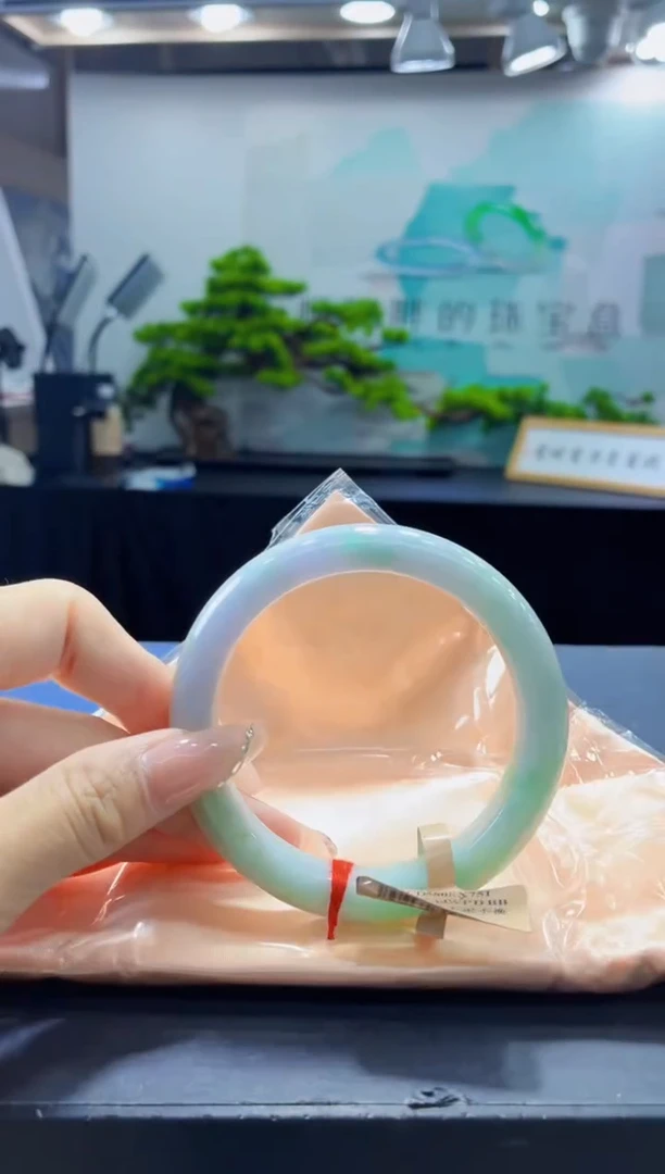 未镶嵌手镯翡翠4