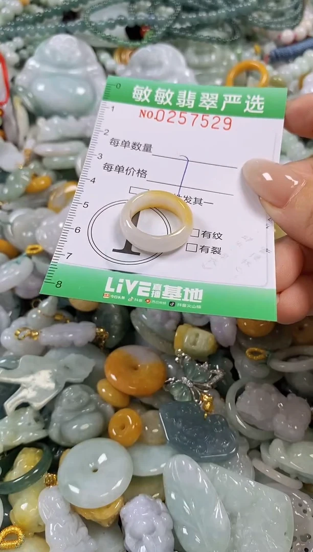 翡翠未镶嵌颈饰闪购0257529
