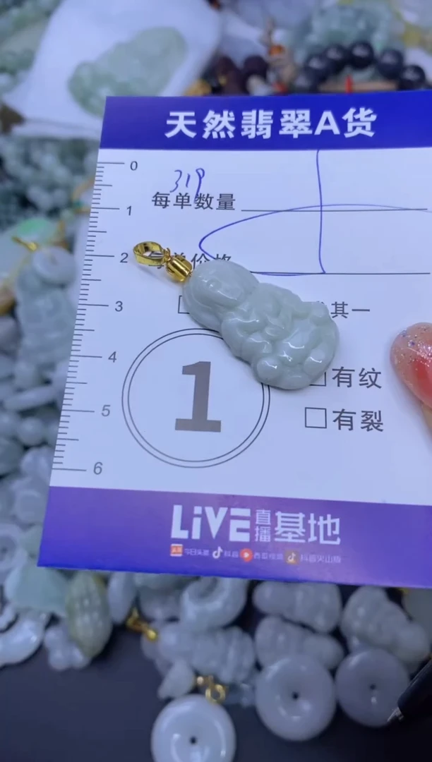 颈饰未镶嵌翡翠天然翡翠A货批量多样性发一件