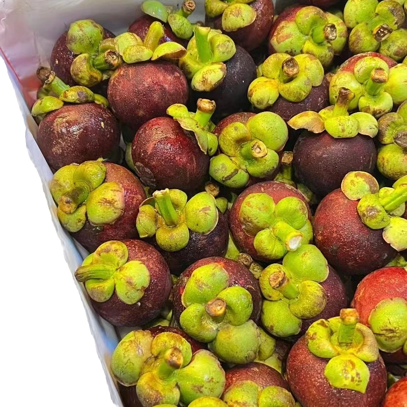 【曦哥专属 泰国5A老树麻竹】新鲜到货 进口水果 顺丰包邮 （5/8斤）