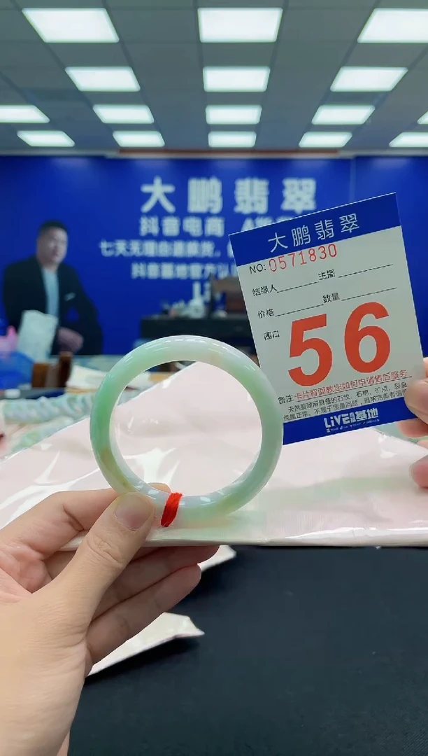 未镶嵌手镯翡翠AAAAAAAAA