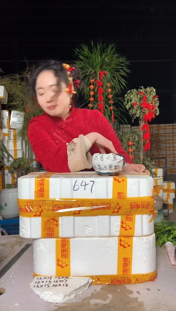 【闪购商品】红陶t2-647