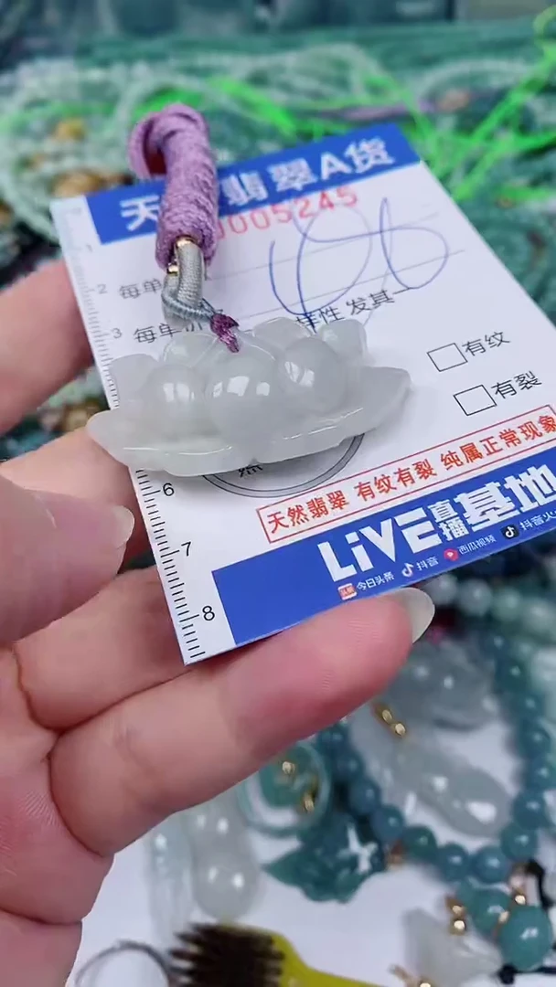 翡翠未镶嵌颈饰00005245