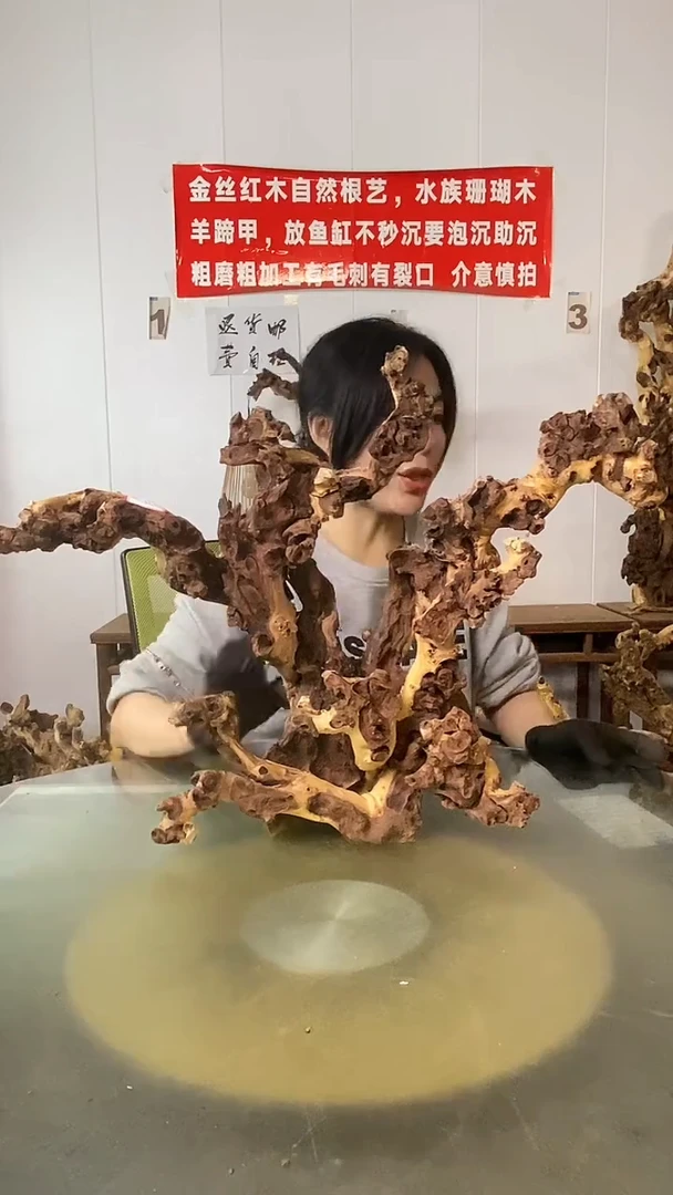 香榧木黑*瑰金丝红木 羊蹄甲