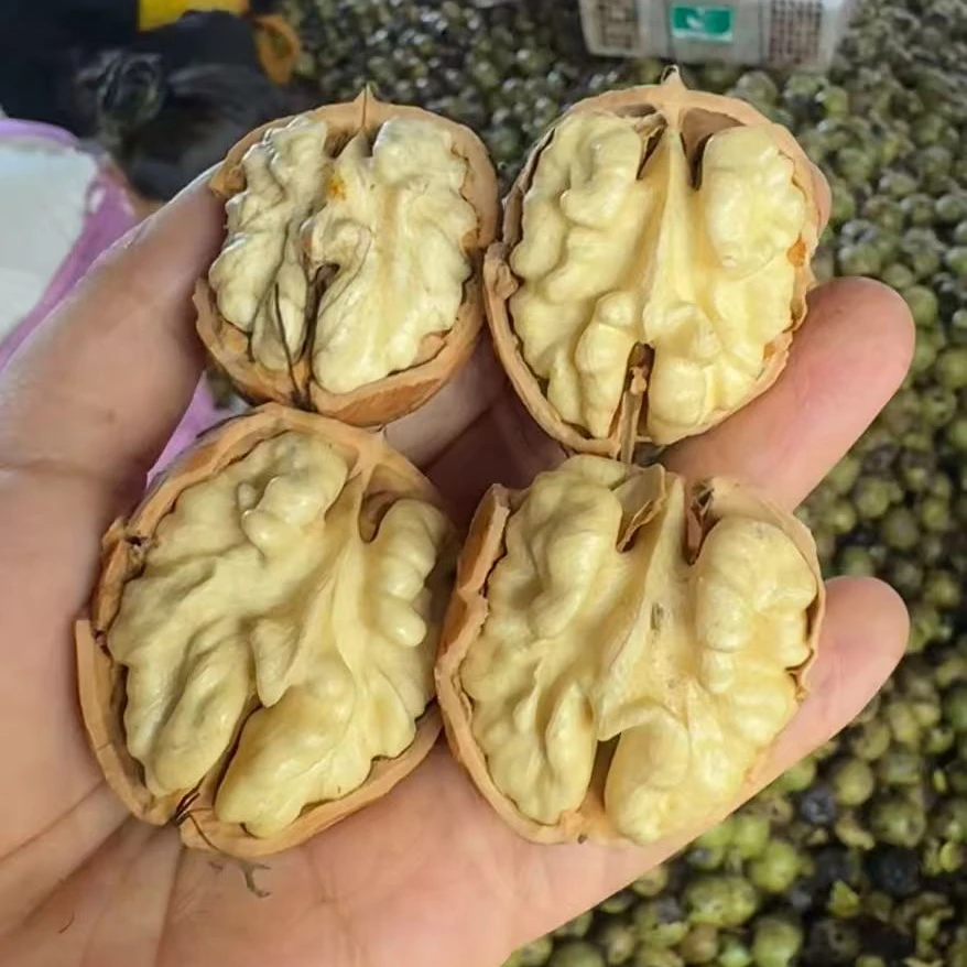 蓟县盘山新鲜下树青皮核桃