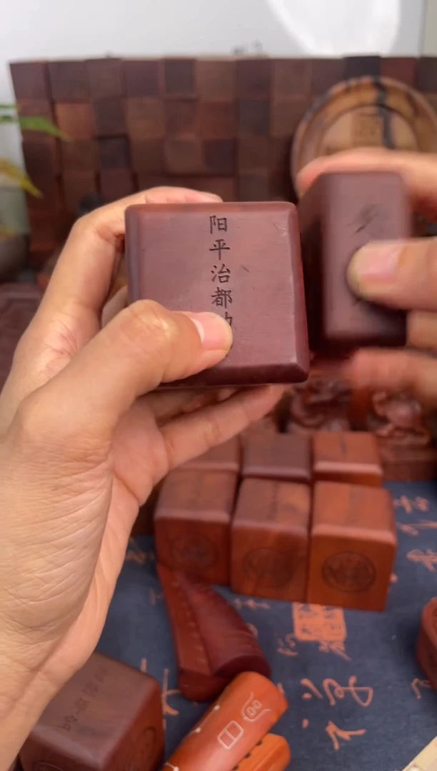 木枣木556阳平治+底座+2.5小天师
