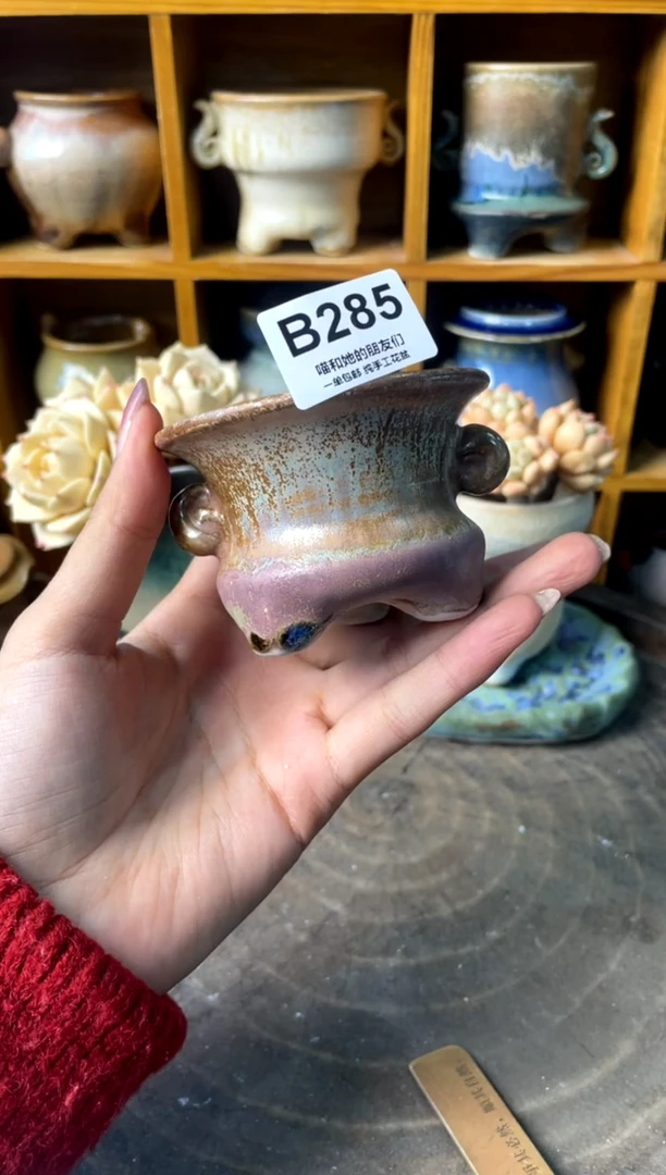 G**c285【多肉花盆多肉盆】