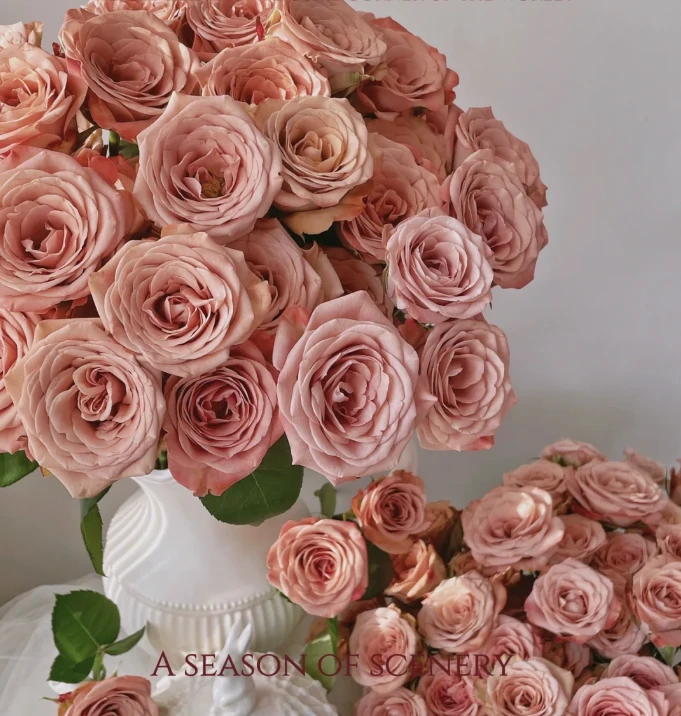 【卡布奇诺（花头偏小）AK】单头玫瑰10枝 |全场鲜花任意两单包邮