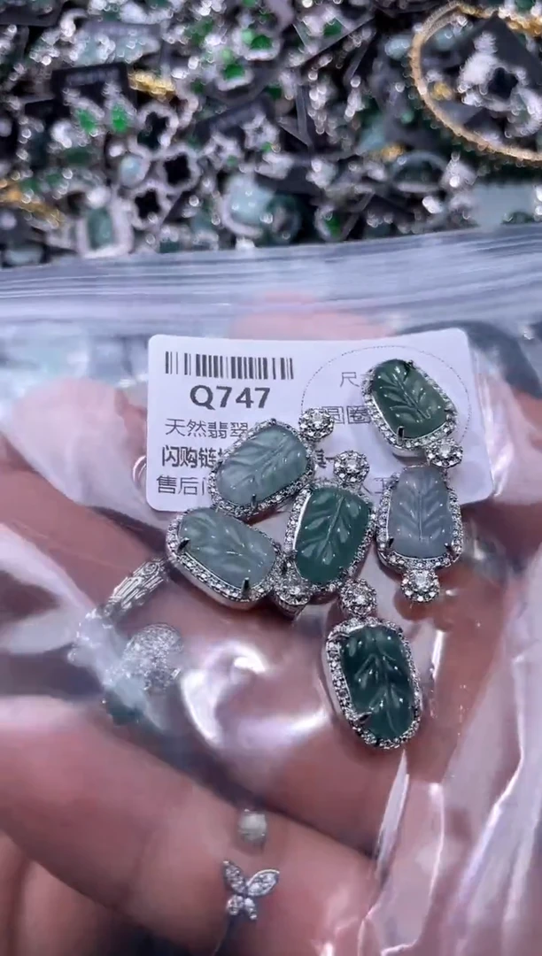 【闪购商品】翡翠颈饰未镶嵌Q747多样性发其一