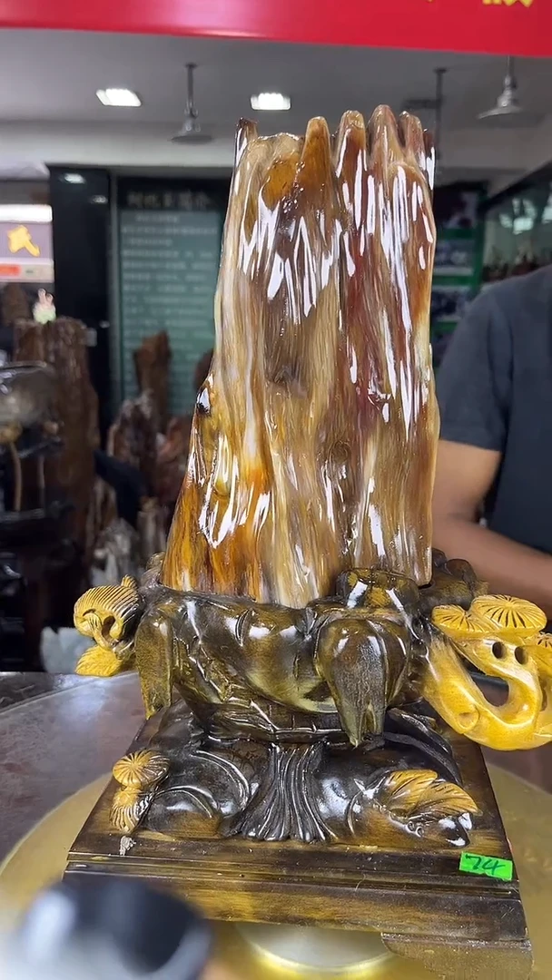 未镶嵌珠宝奇石硅化玉缅甸天然树化玉摆件