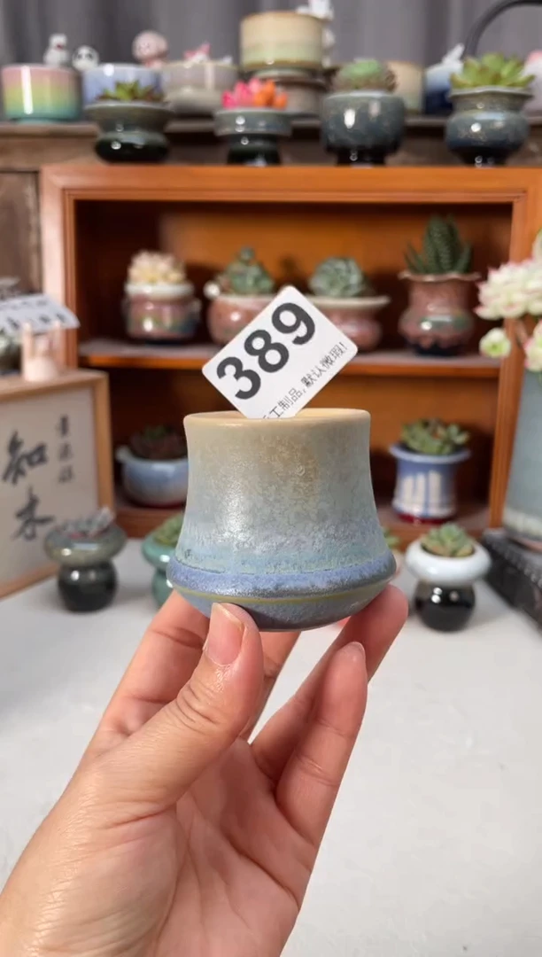 瓷片389小芳直播编号