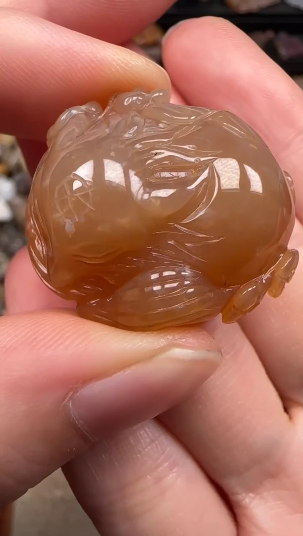 硅化珊瑚（珊瑚玉）未镶嵌颈饰225