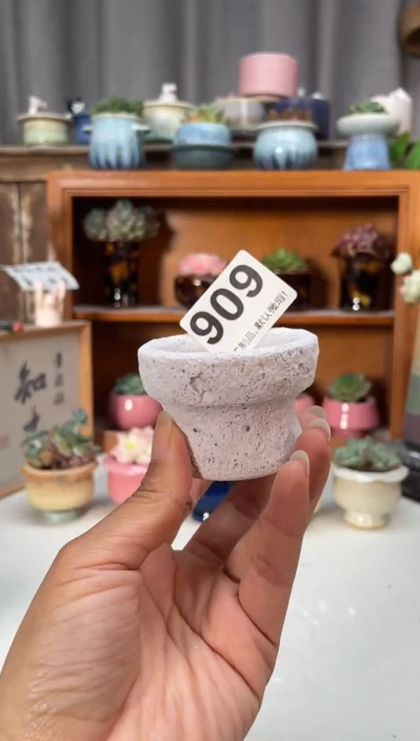 瓷片909小芳直播编号