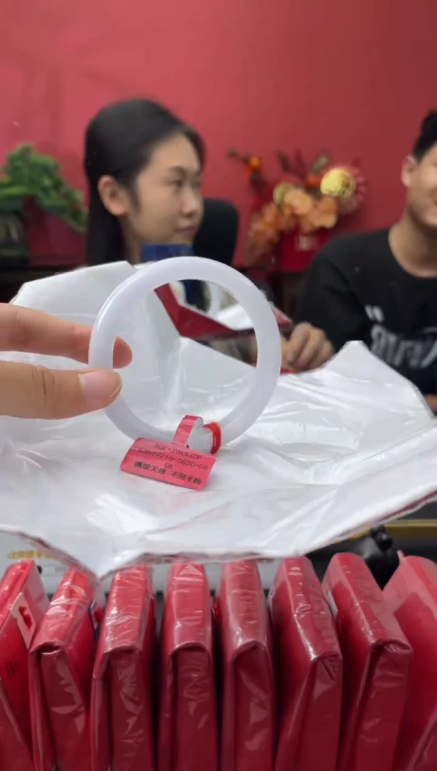 未镶嵌手镯翡翠2