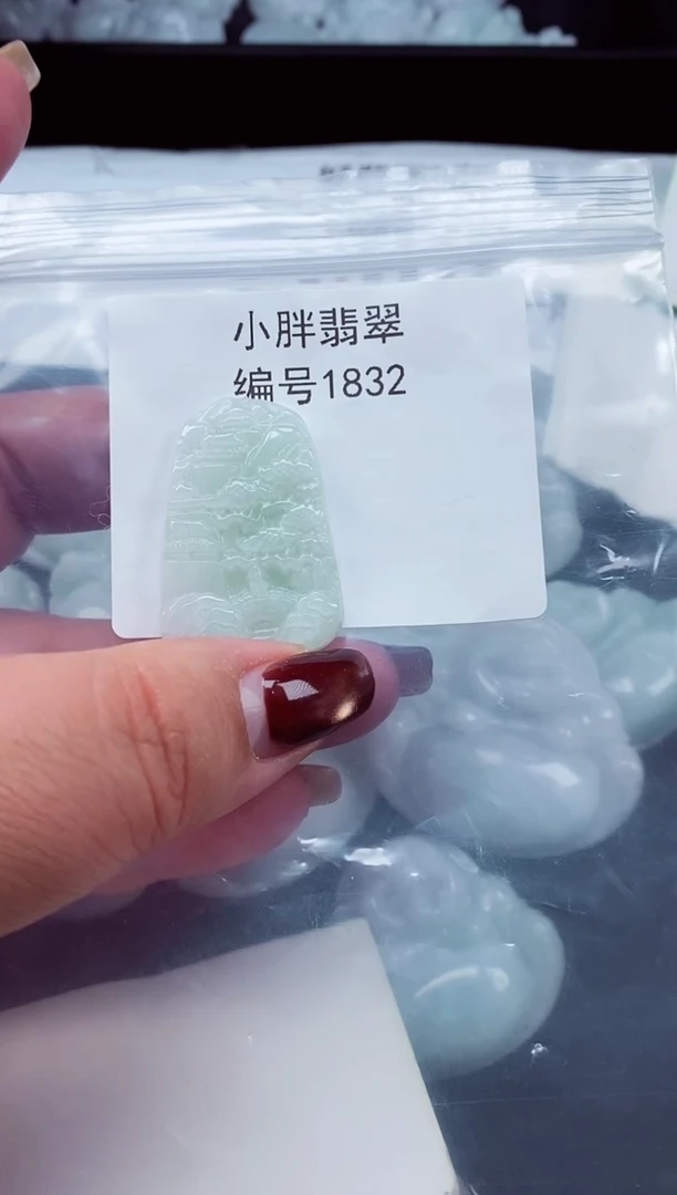 颈饰未镶嵌翡翠缅甸天然A货翡翠1832