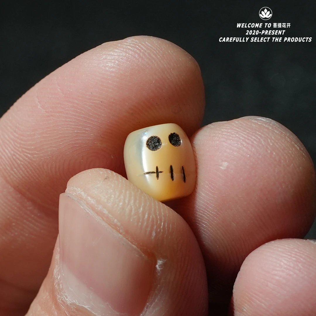 贝壳雕刻（尸陀林）文玩配饰尺寸8mm左右单颗