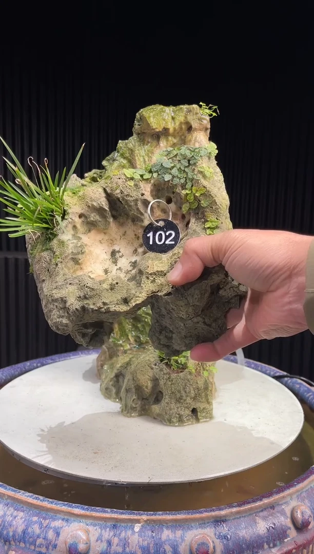 老***1造型吴定石一物一拍专属