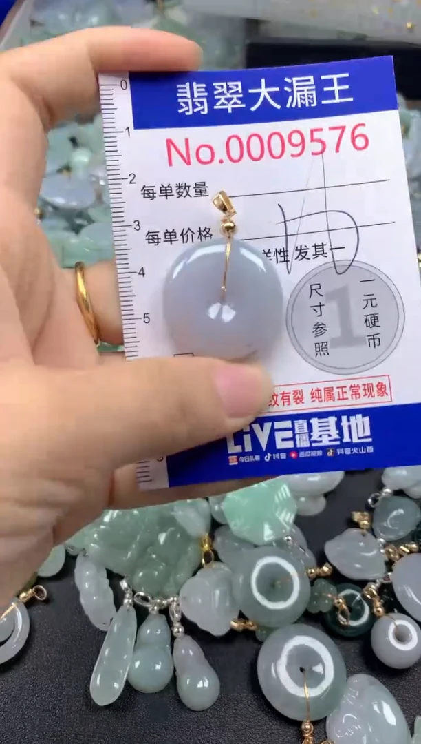翡翠未镶嵌吊坠(不含链)9576