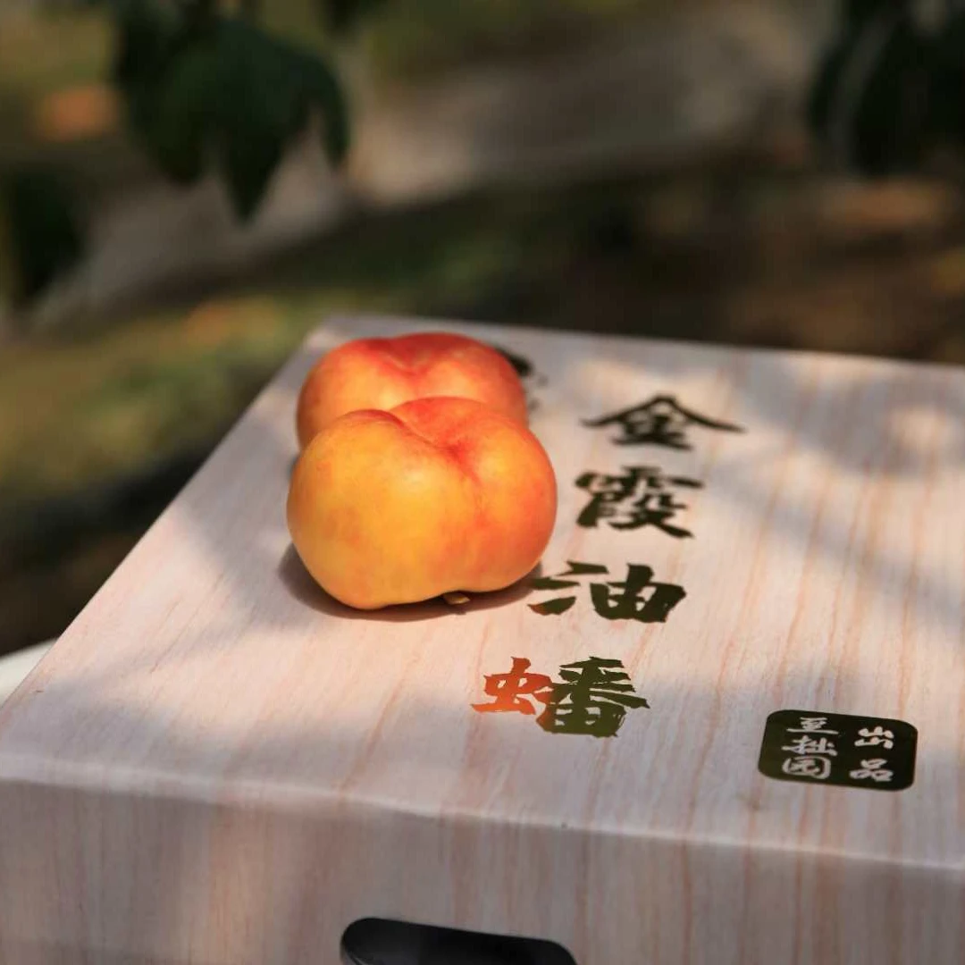 金霞油蟠桃，水蜜桃来袭，鲜采超甜，有桃子和芒果复合的香味