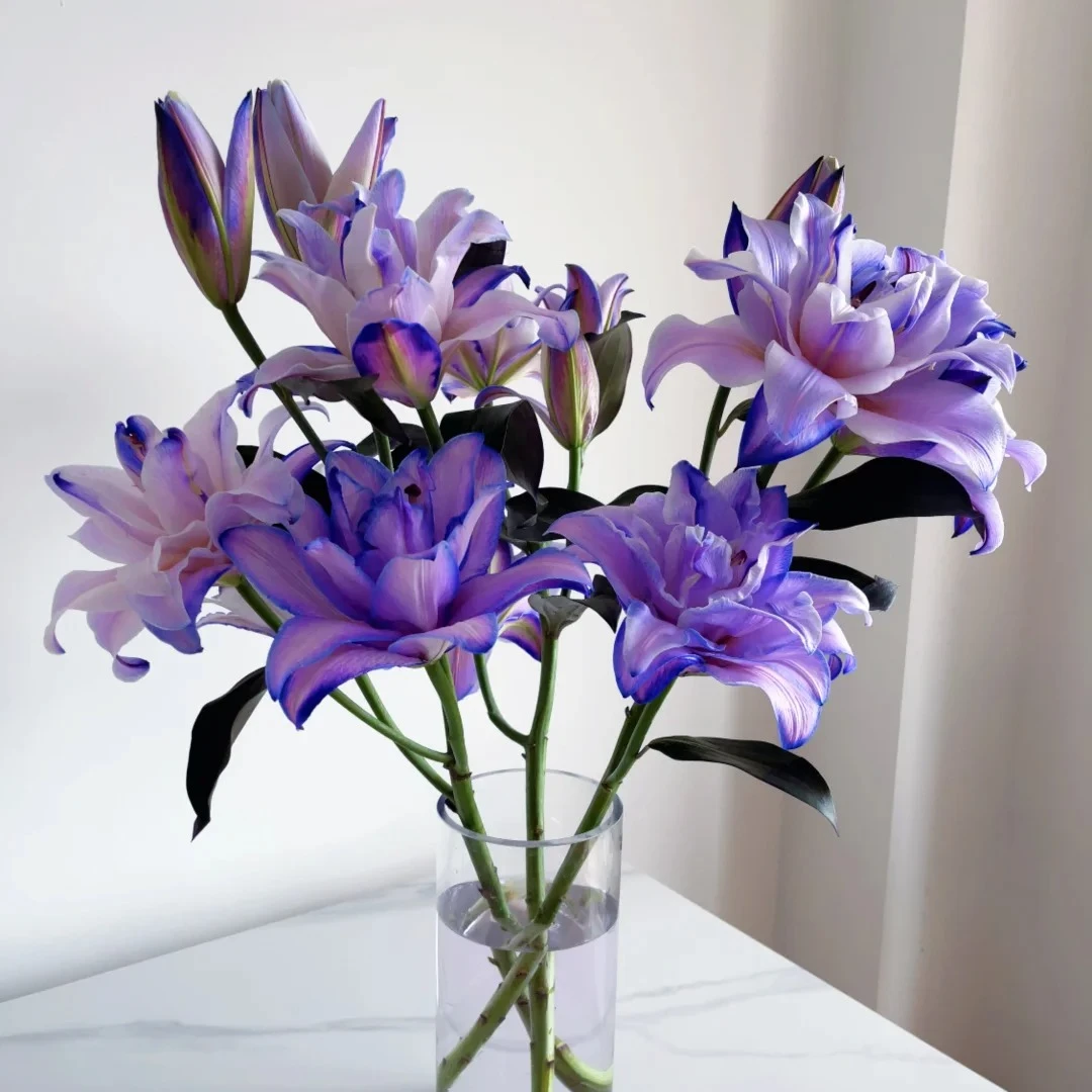 【花王朝甄选】幽梦重瓣百合/元旦预热  任意2单鲜花升级快递