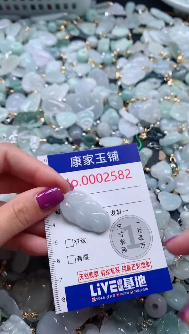 颈饰未镶嵌翡翠2582