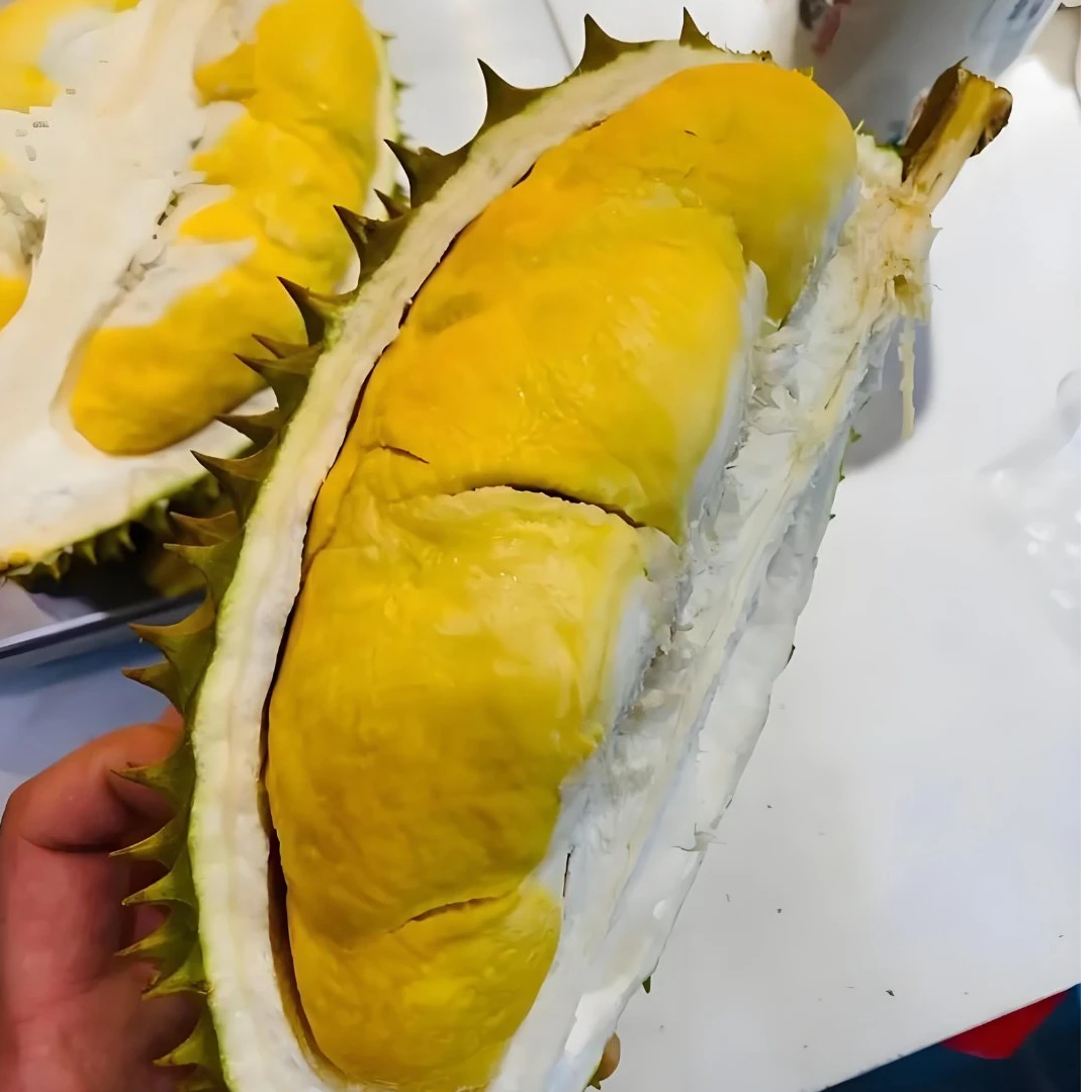 榴莲小时达 越南金尧鲜榴莲核大  2kg~3kg干尧越南