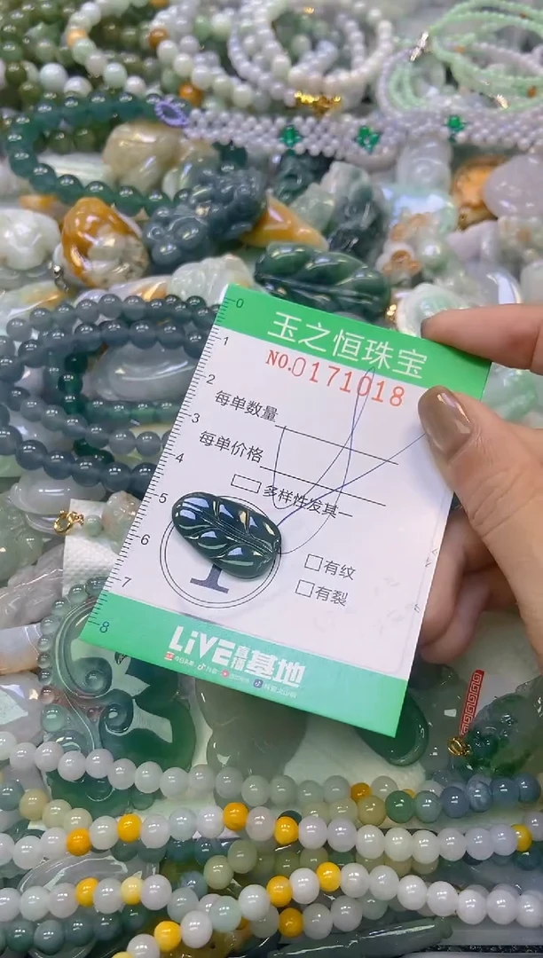 颈饰未镶嵌翡翠闪购0171018