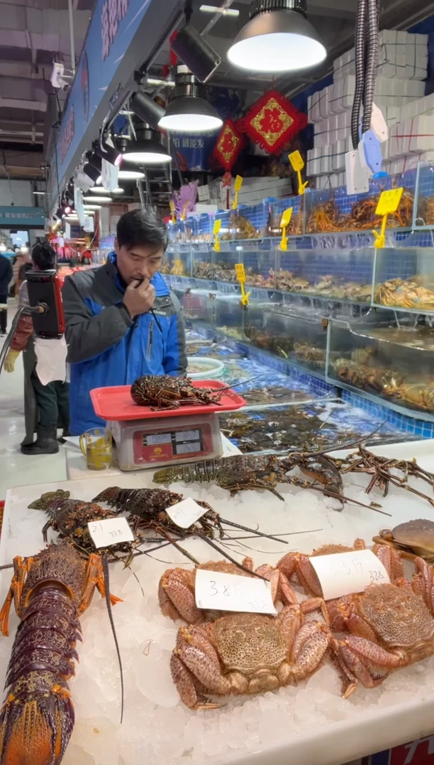 中国大陆断氧墨西哥青龙1只，1.6斤，有断腿