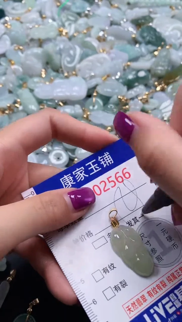 颈饰未镶嵌翡翠2566