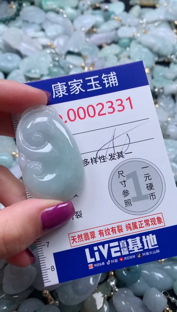 颈饰未镶嵌翡翠2331