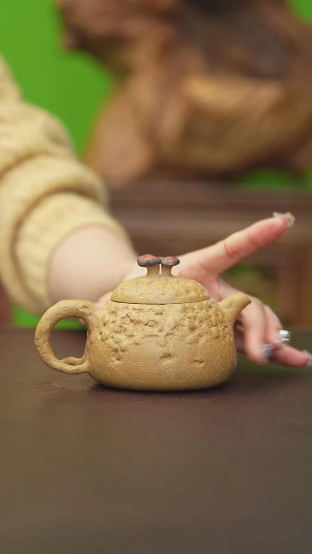 茶壶紫砂孤品 供春半手工