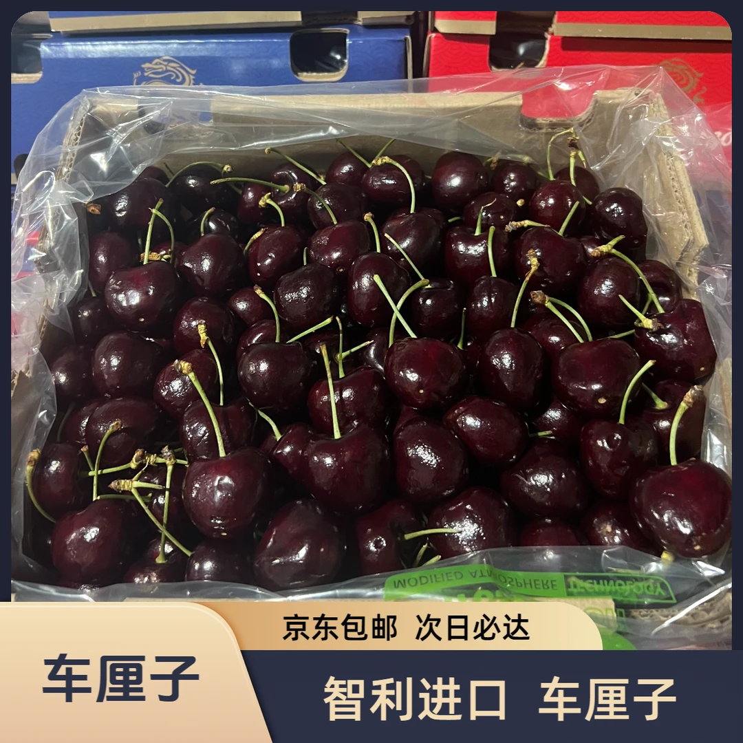 【次日达20】智利进口车厘子 J-JJJ级 原箱未拆袋5斤装