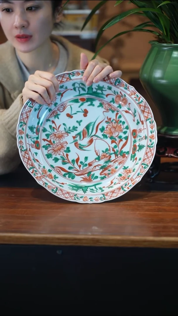 全部花朵盆子盆景盆景