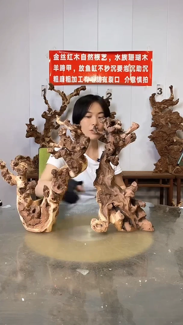 香榧木金丝红木 羊蹄甲